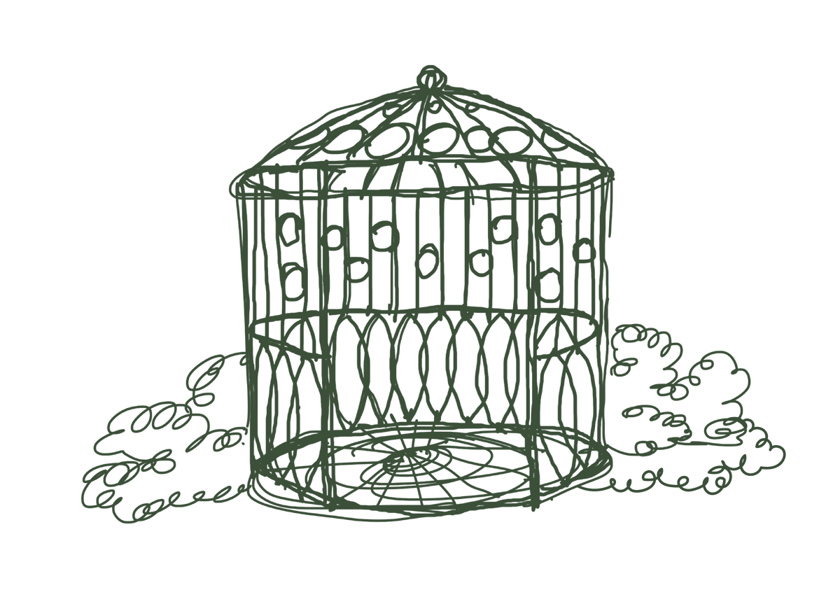 Hand-drawn birdcage illustration